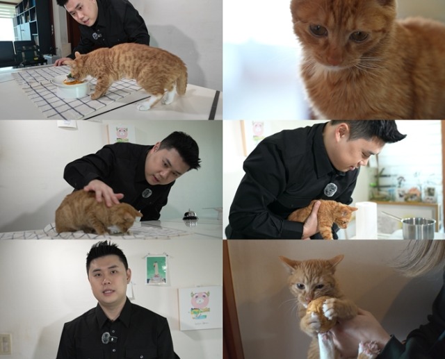 TV 동물농장 1262회 나폴리맛피아 권성준, 600만 뷰 '냥발장' 위한 고양이 오마카세 공개