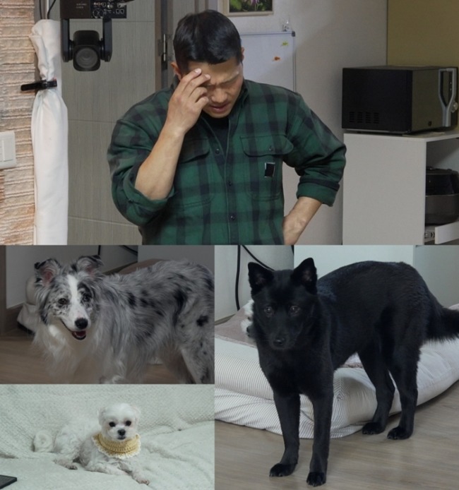 개와 늑대의 시간2 21회 ‘가정폭력견’ 프리, 강형욱이 짚은 다견가정 서열 갈등