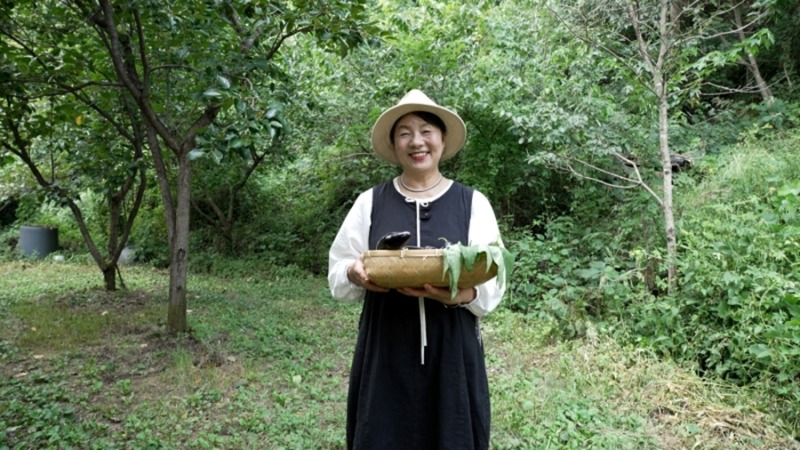 ‘한국기행’ 흙색 요리사 4부 식탁에 그린 편백 숲